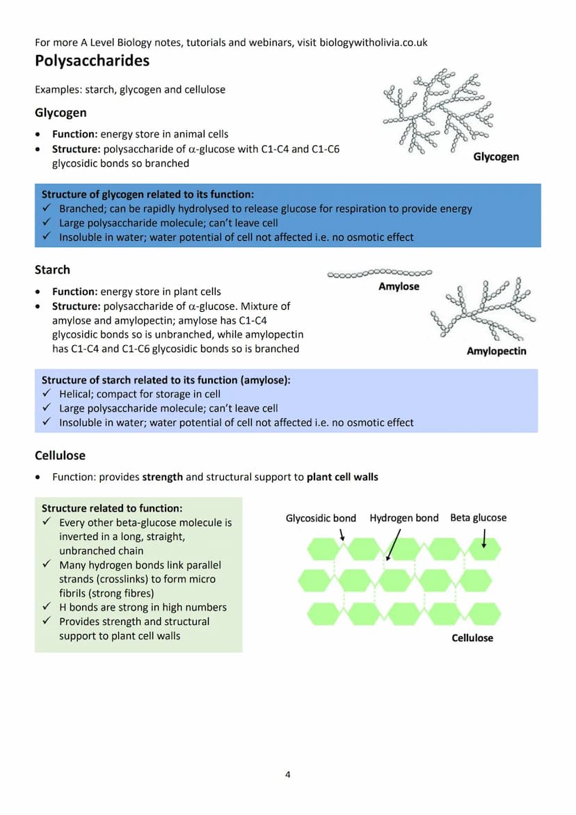 Topic 1: Biological Molecules
Contents (checklist)
1.1 Monomers and polymers .....
Monomers and polymers.....
Condensation and hydrolysis re