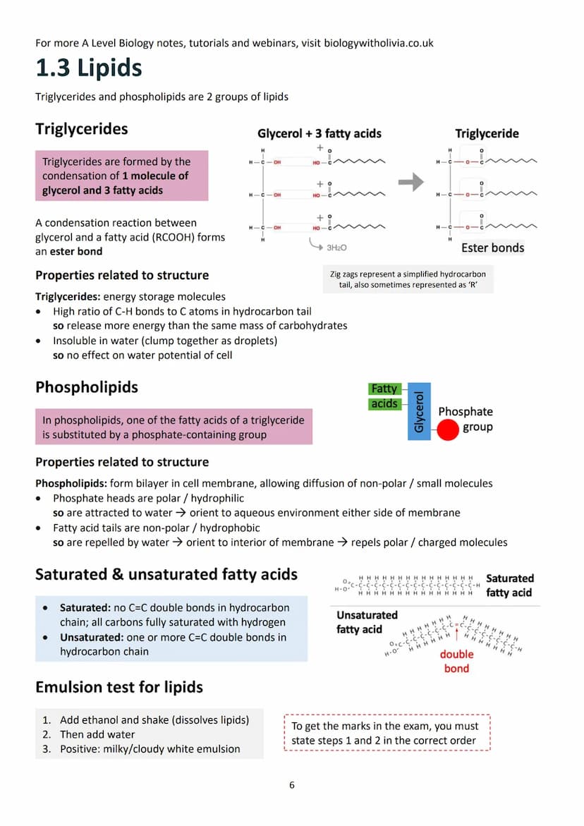 Topic 1: Biological Molecules
Contents (checklist)
1.1 Monomers and polymers .....
Monomers and polymers.....
Condensation and hydrolysis re