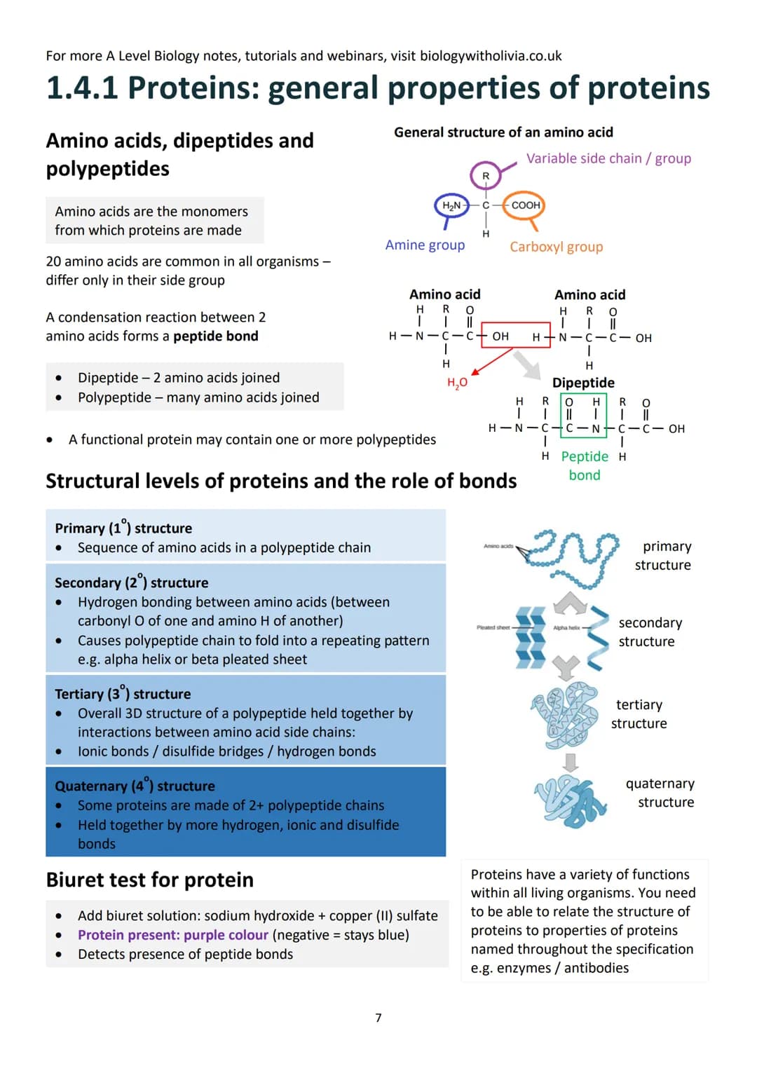 Topic 1: Biological Molecules
Contents (checklist)
1.1 Monomers and polymers .....
Monomers and polymers.....
Condensation and hydrolysis re