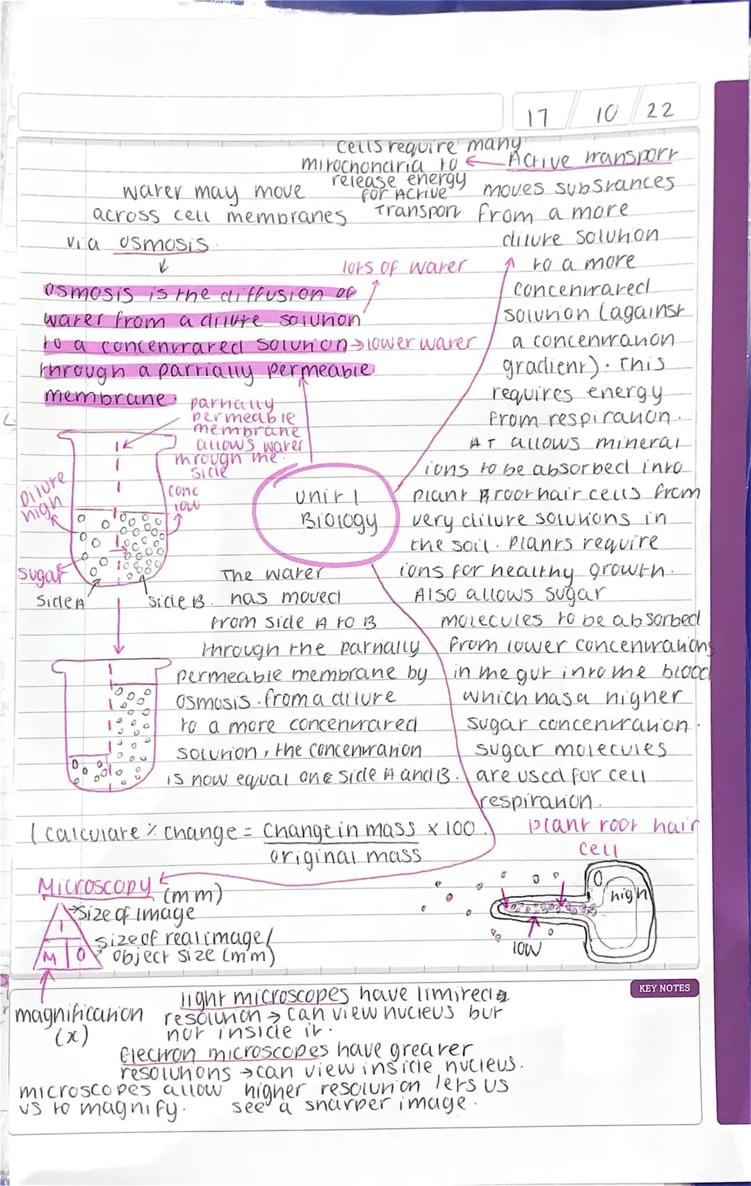 via osmosis.
✓
osmosis is the diffusion of 1
water from a dilure solution'
membrane parnally
Diluke
high
Sugar
to a concentrated solun on Sl