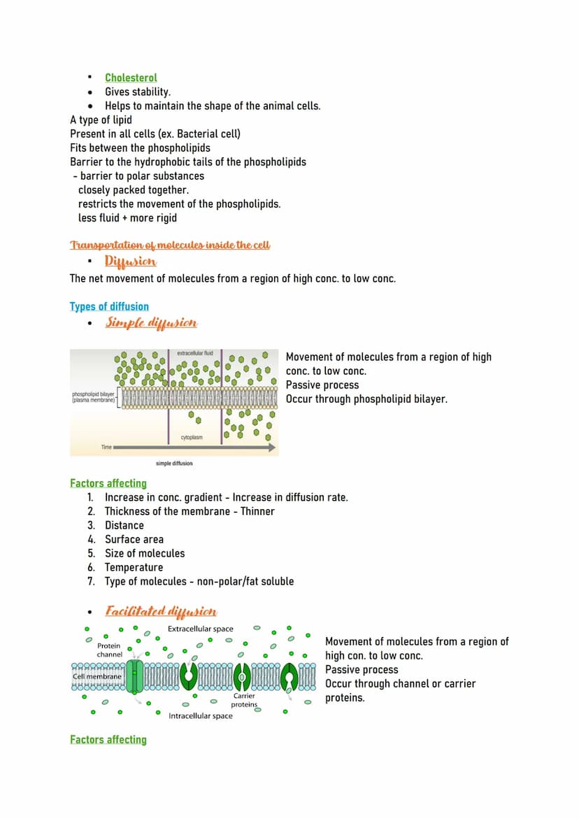 Human CELL
Human cells are the building blocks of the
body and perform various functions of the
body.
Types of human cells
Nerve cells (Neur