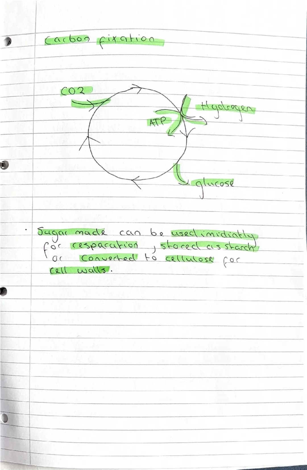 Biology N5
A habitat is the place where an organism
Lives
A population is the number of a type
of organism in an ecosystem
A Community is al
