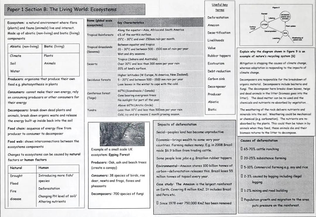 Paper 1 Section B: The Living World: Tropical Rainforest 