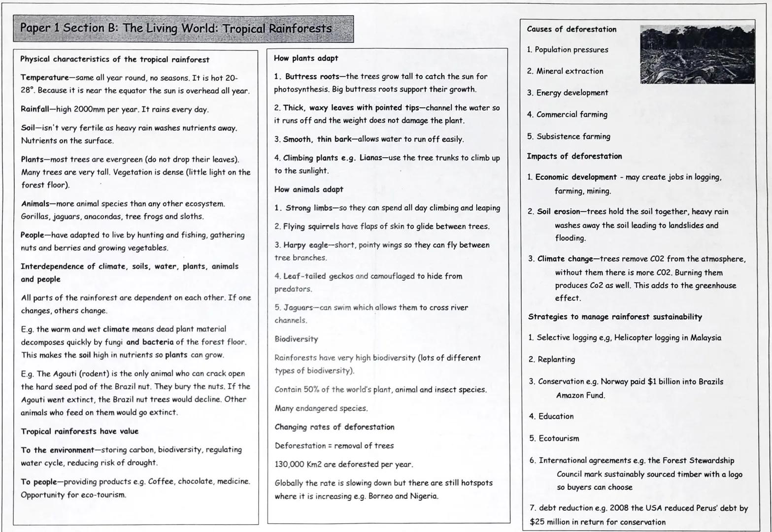 # Paper 1 Section B: The Living World: Ecosystems

Ecosystem: a natural environment where flora
(plants) and fauna (animals) live and intera