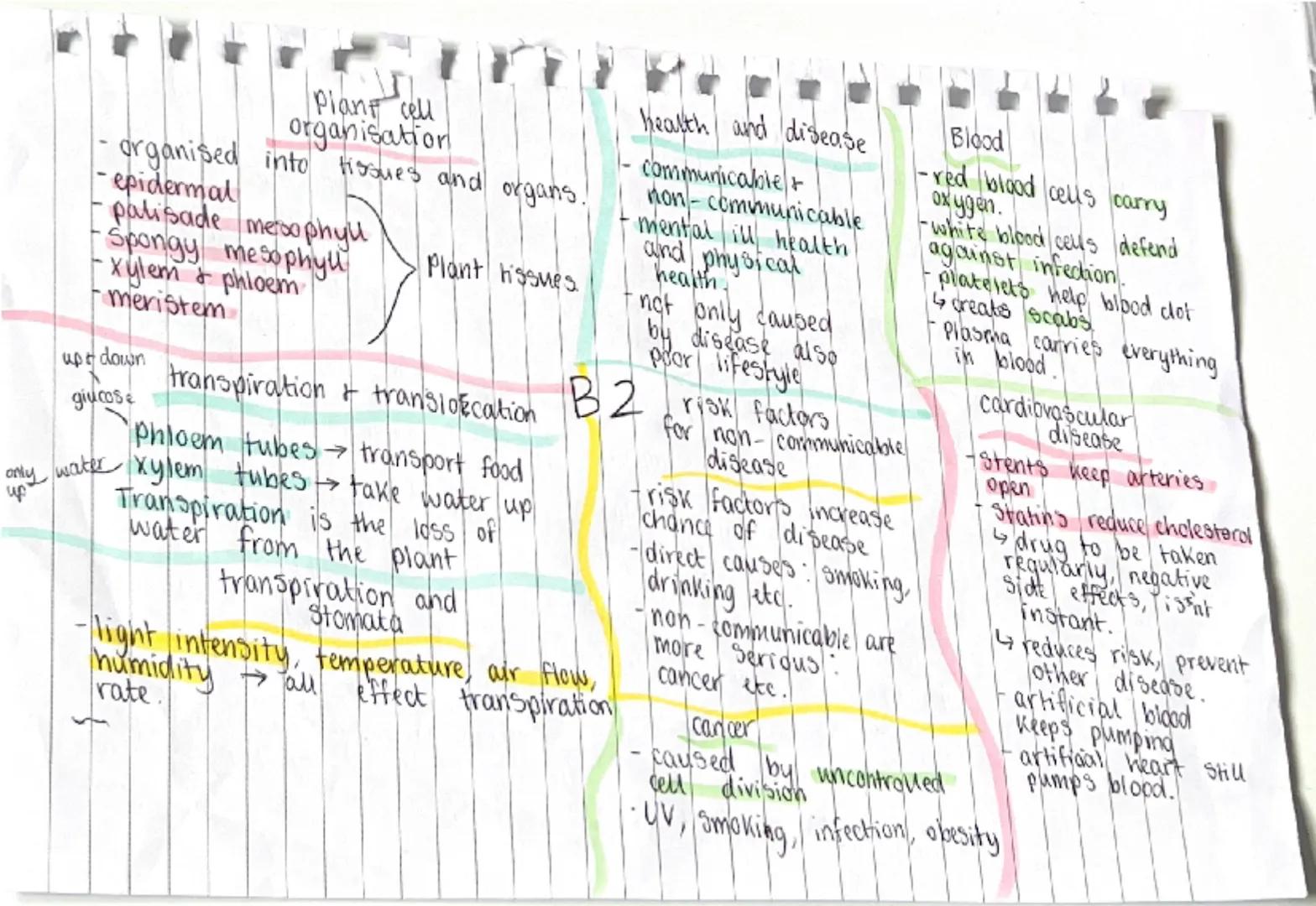 active transport
- movement of molecules across
a cell membrane from region
of lower to a higher
concentration against the
concentration gra