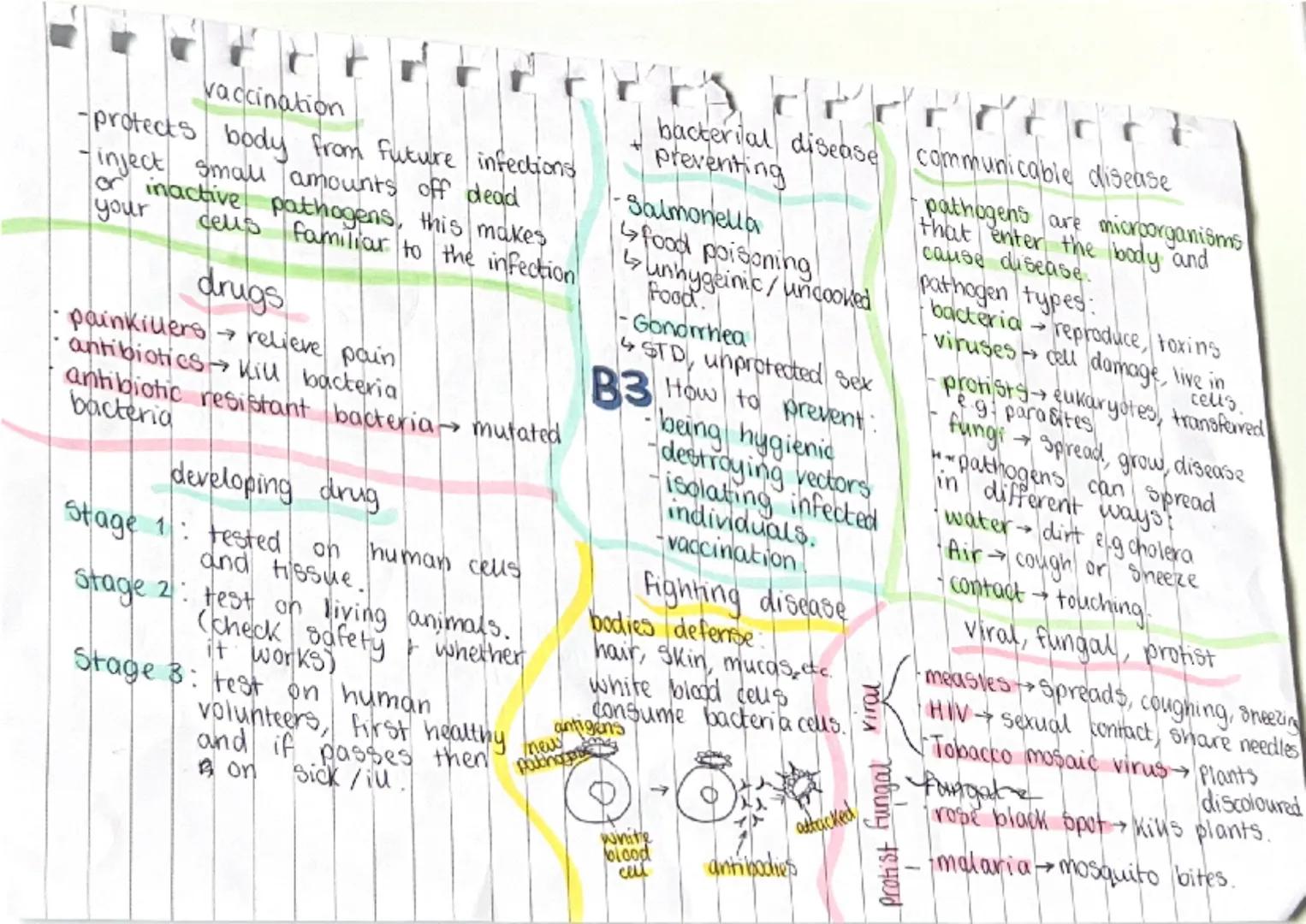 active transport
- movement of molecules across
a cell membrane from region
of lower to a higher
concentration against the
concentration gra