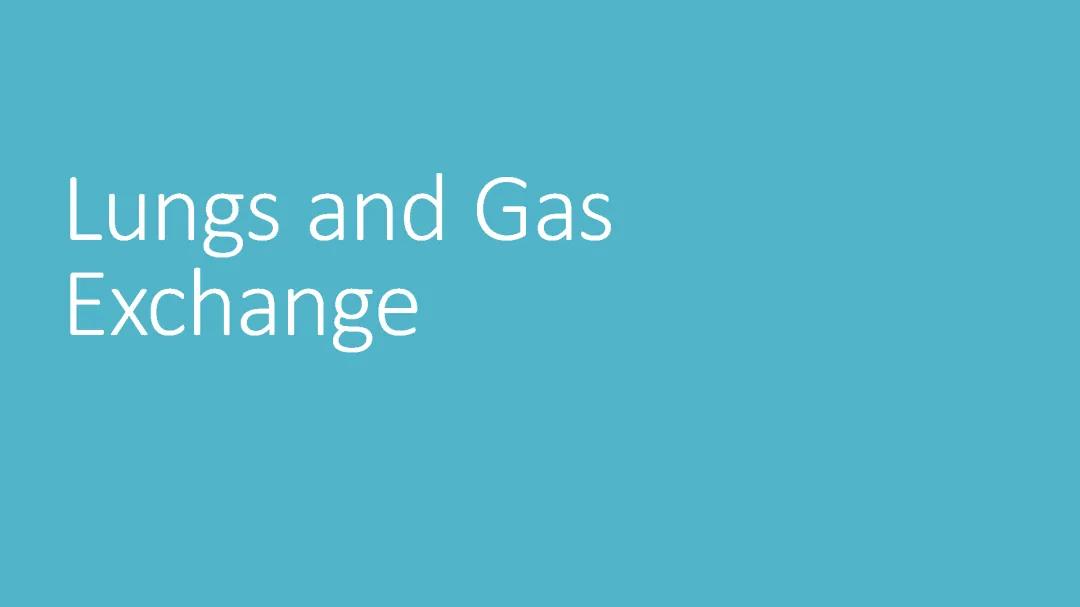Lungs and Gas Exchange