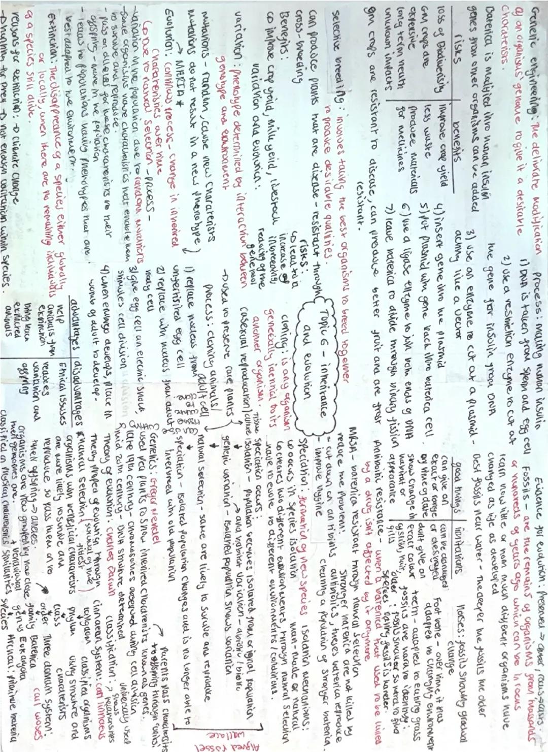 # Topic 5 - Statis and Homeostasis

## The Eye:

1. **Lens** - focuses light rays on the retina
2. **Cornea** - transparent region of the sc