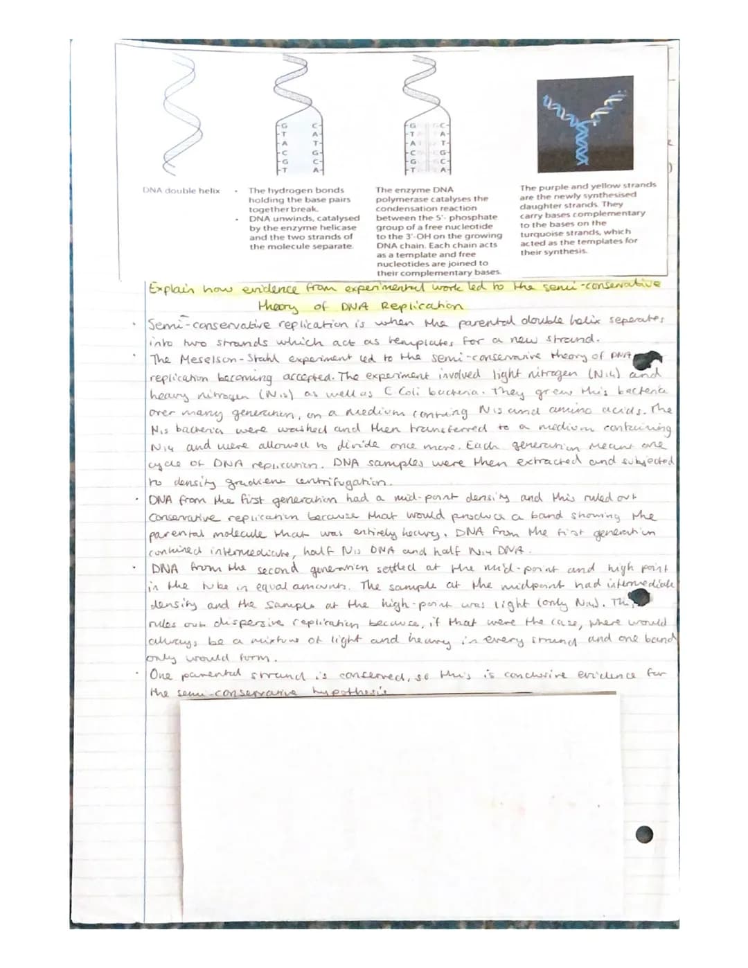 Nucleic acids- Nucleotides and
ATP
Nudeic acids are polymers, made of monomers called nucleotides.
A molecule containing many nucleondes is
