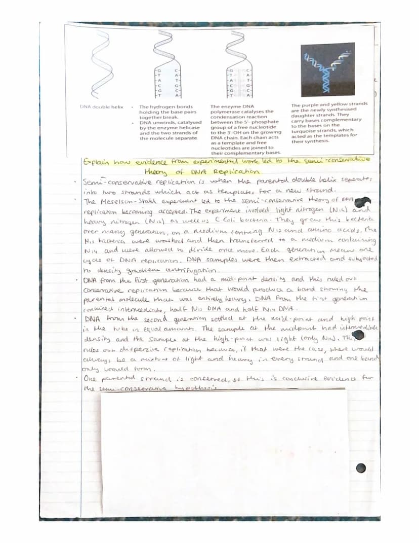 Nucleic acids- Nucleotides and
ATP
Nudeic acids are polymers, made of monomers called nucleotides.
A molecule containing many nucleondes is
