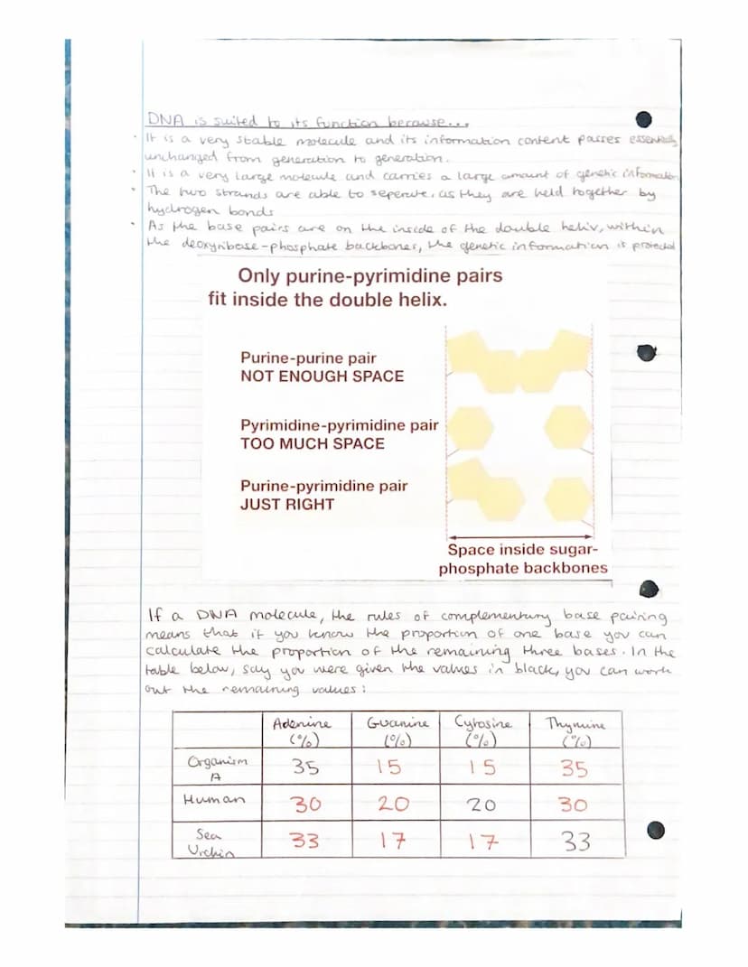 Nucleic acids- Nucleotides and
ATP
Nudeic acids are polymers, made of monomers called nucleotides.
A molecule containing many nucleondes is
