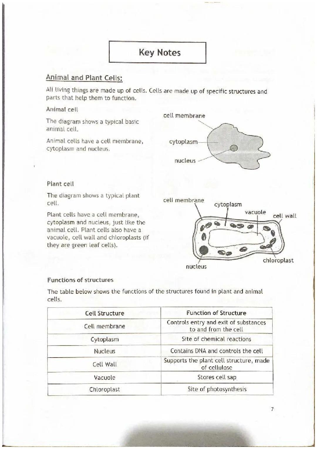 biology, basic cells 