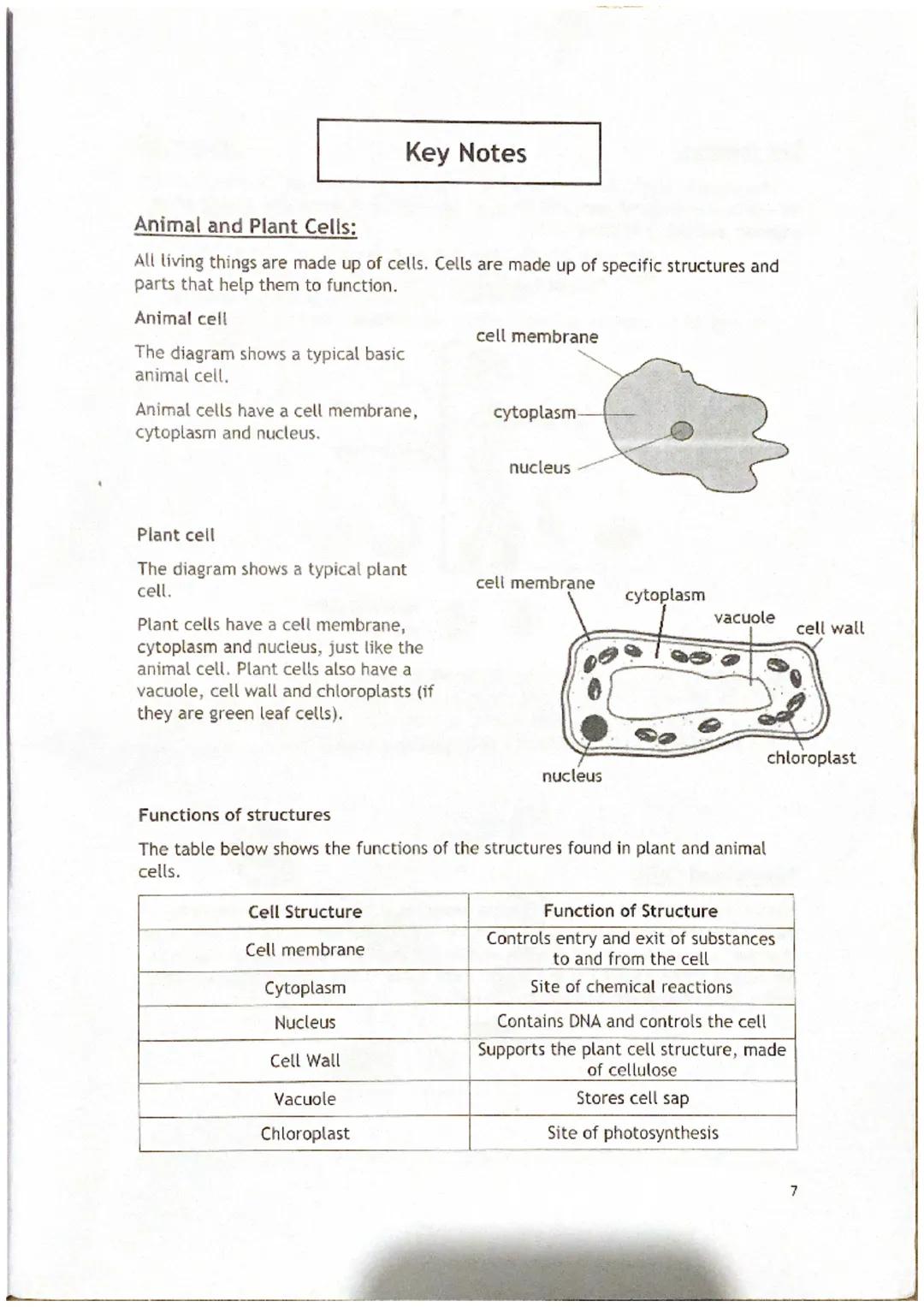 Animal and Plant Cells:
All living things are made up of cells. Cells are made up of specific structures and
parts that help them to functio