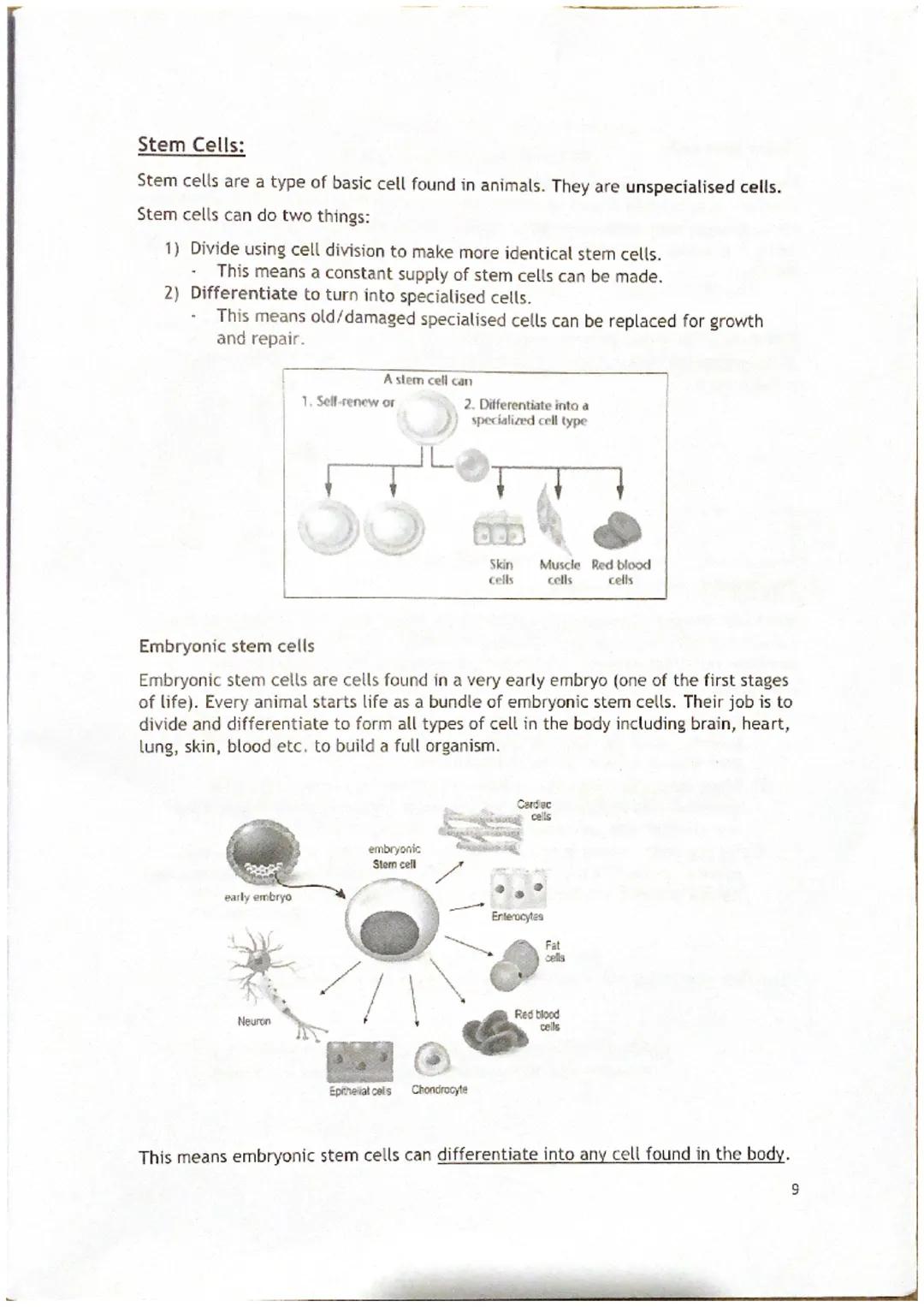 Animal and Plant Cells:
All living things are made up of cells. Cells are made up of specific structures and
parts that help them to functio