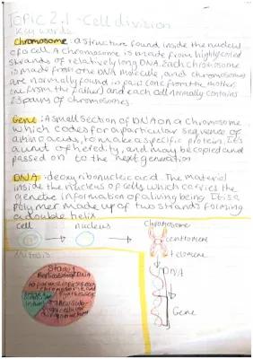 Know cell division: mitosis + meiosis  thumbnail