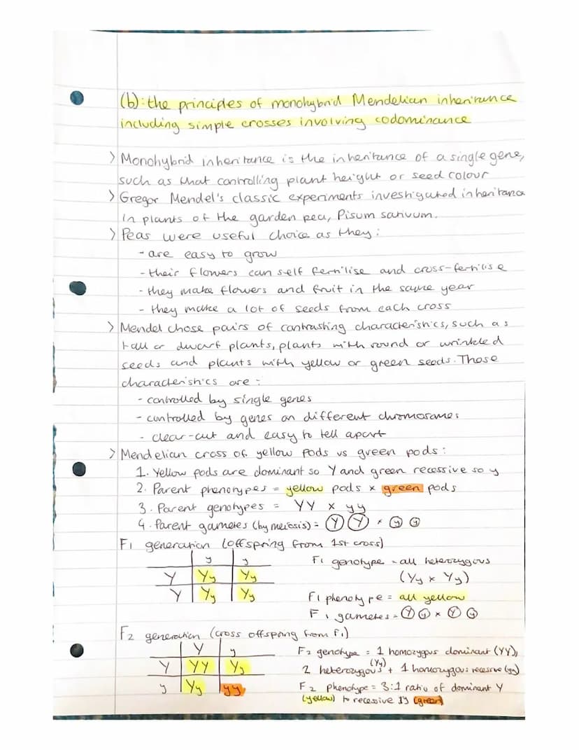 
<h2 id="geneandalleleinheritanceinbiology">Gene and Allele Inheritance in Biology</h2>
<p>Alleles are different forms of the same gene, whi