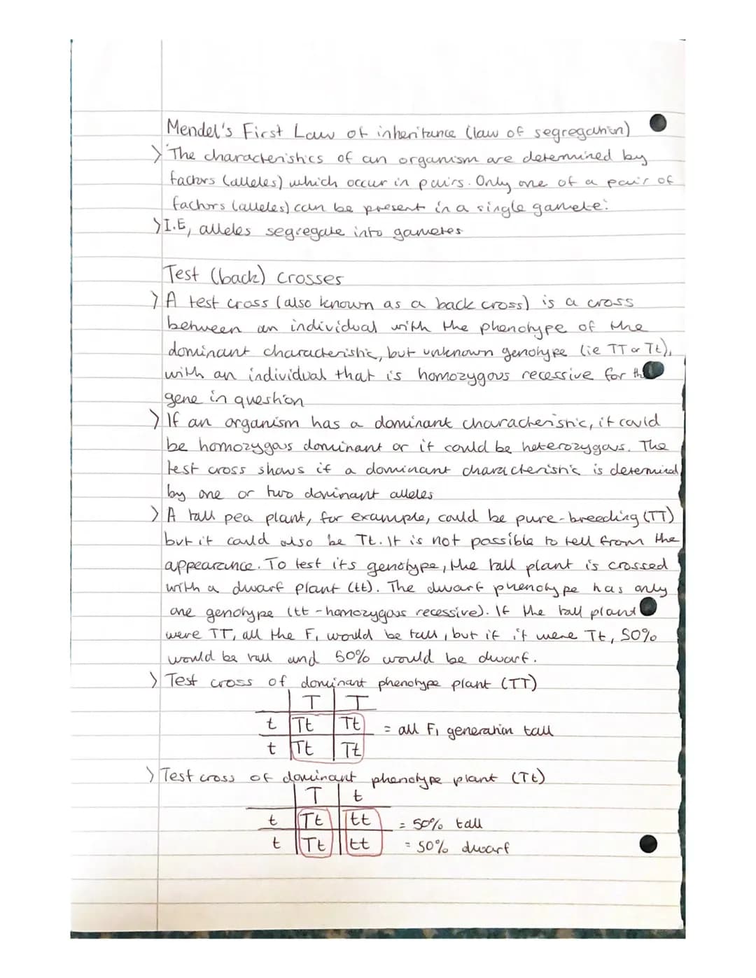 
<h2 id="geneandalleleinheritanceinbiology">Gene and Allele Inheritance in Biology</h2>
<p>Alleles are different forms of the same gene, whi