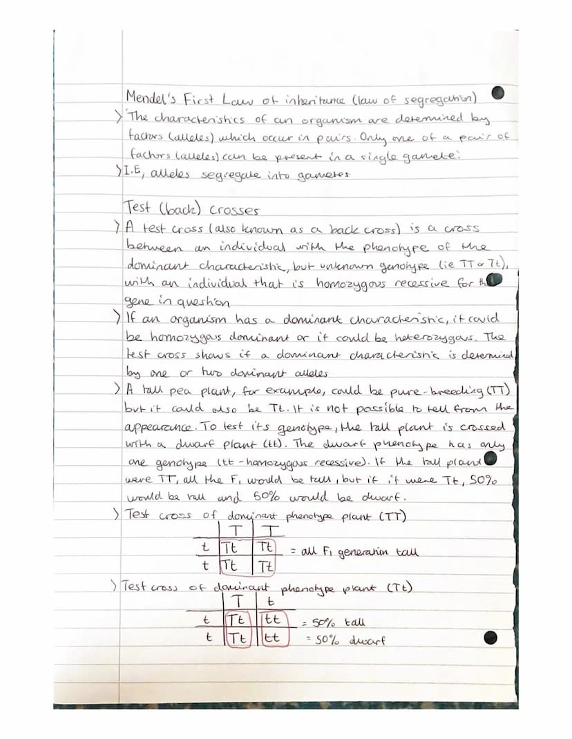 
<h2 id="geneandalleleinheritanceinbiology">Gene and Allele Inheritance in Biology</h2>
<p>Alleles are different forms of the same gene, whi