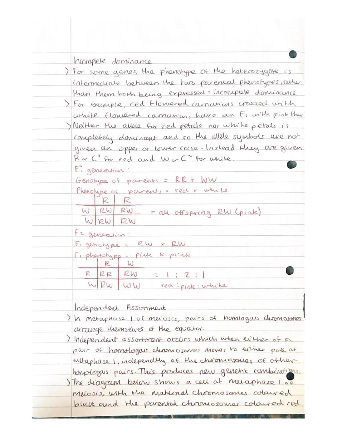 
<h2 id="geneandalleleinheritanceinbiology">Gene and Allele Inheritance in Biology</h2>
<p>Alleles are different forms of the same gene, whi