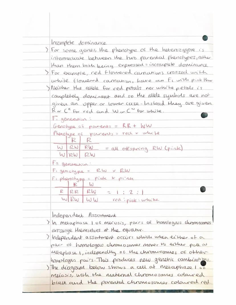 
<h2 id="geneandalleleinheritanceinbiology">Gene and Allele Inheritance in Biology</h2>
<p>Alleles are different forms of the same gene, whi