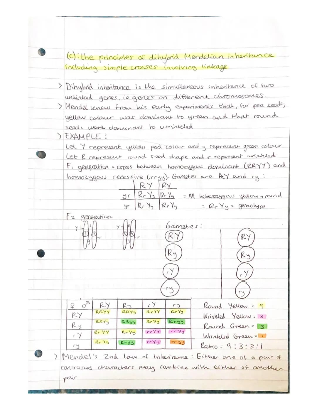 
<h2 id="geneandalleleinheritanceinbiology">Gene and Allele Inheritance in Biology</h2>
<p>Alleles are different forms of the same gene, whi