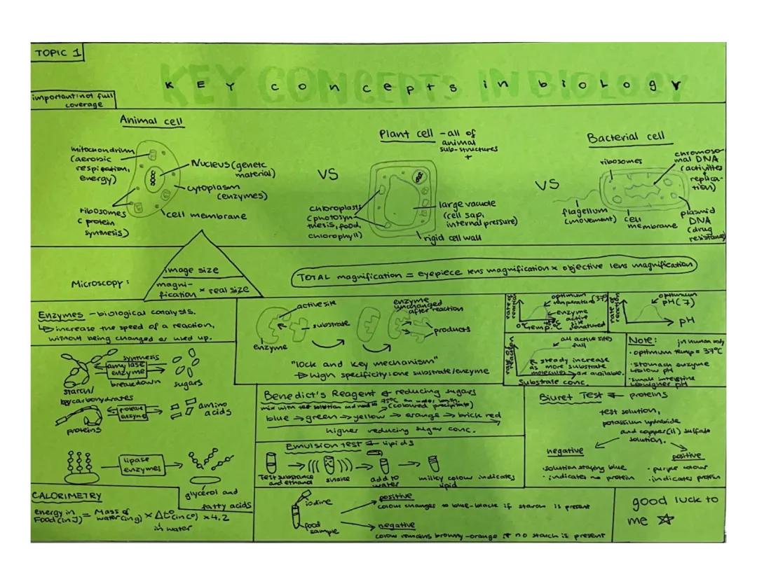 Topic 1: Key Concepts in Biology 