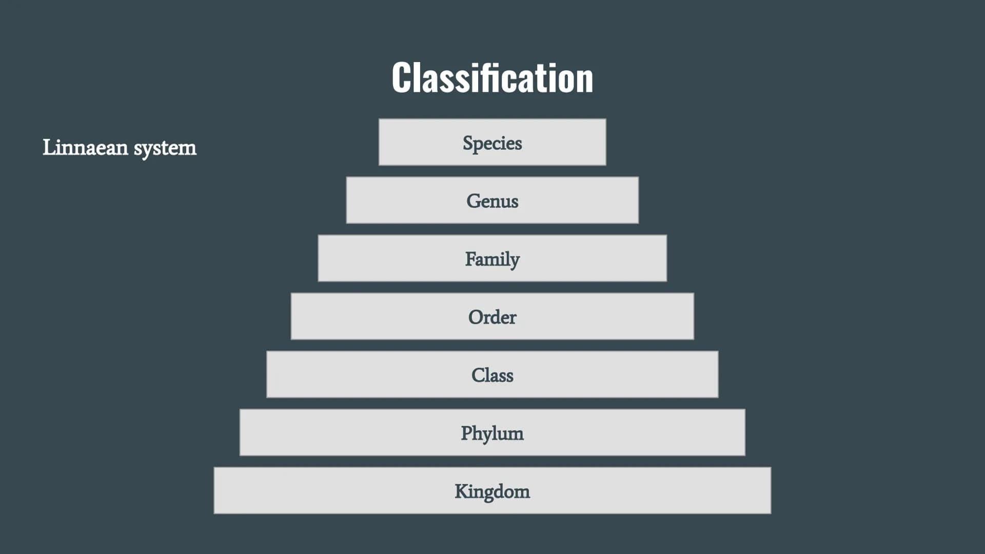 General Biology Smallest to largest
Cell - the basic building blocks of life.
Tissue – a group of similar cells that work together to carry 