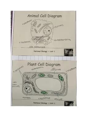 Know Animal and plant cells thumbnail