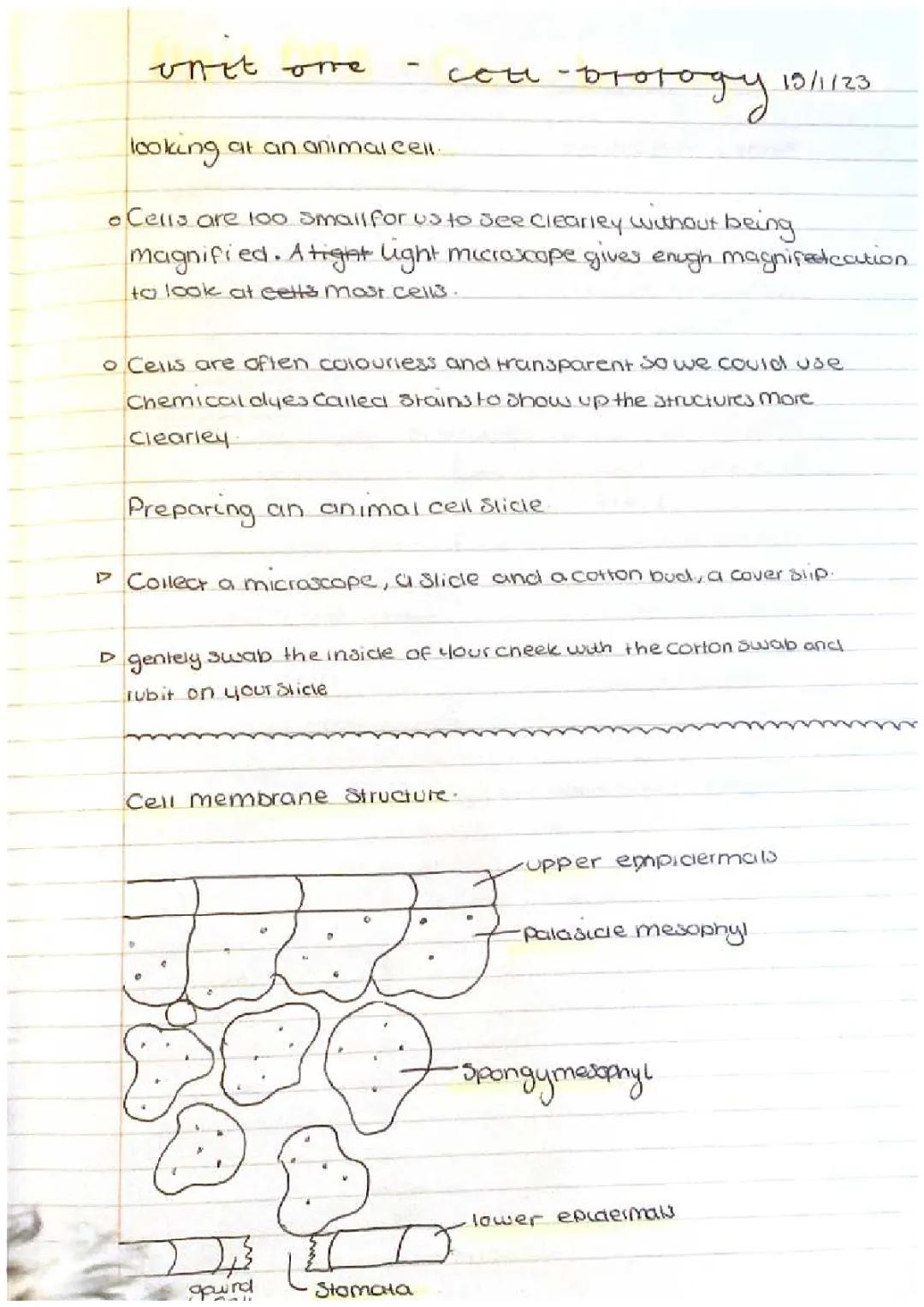 national 5 biology revision notes 