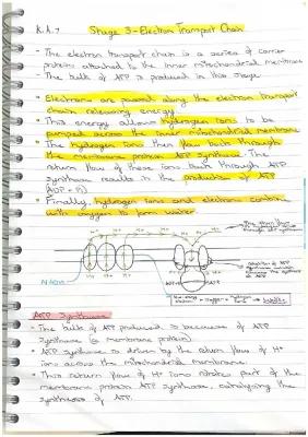 Know Cellular Respiration  thumbnail