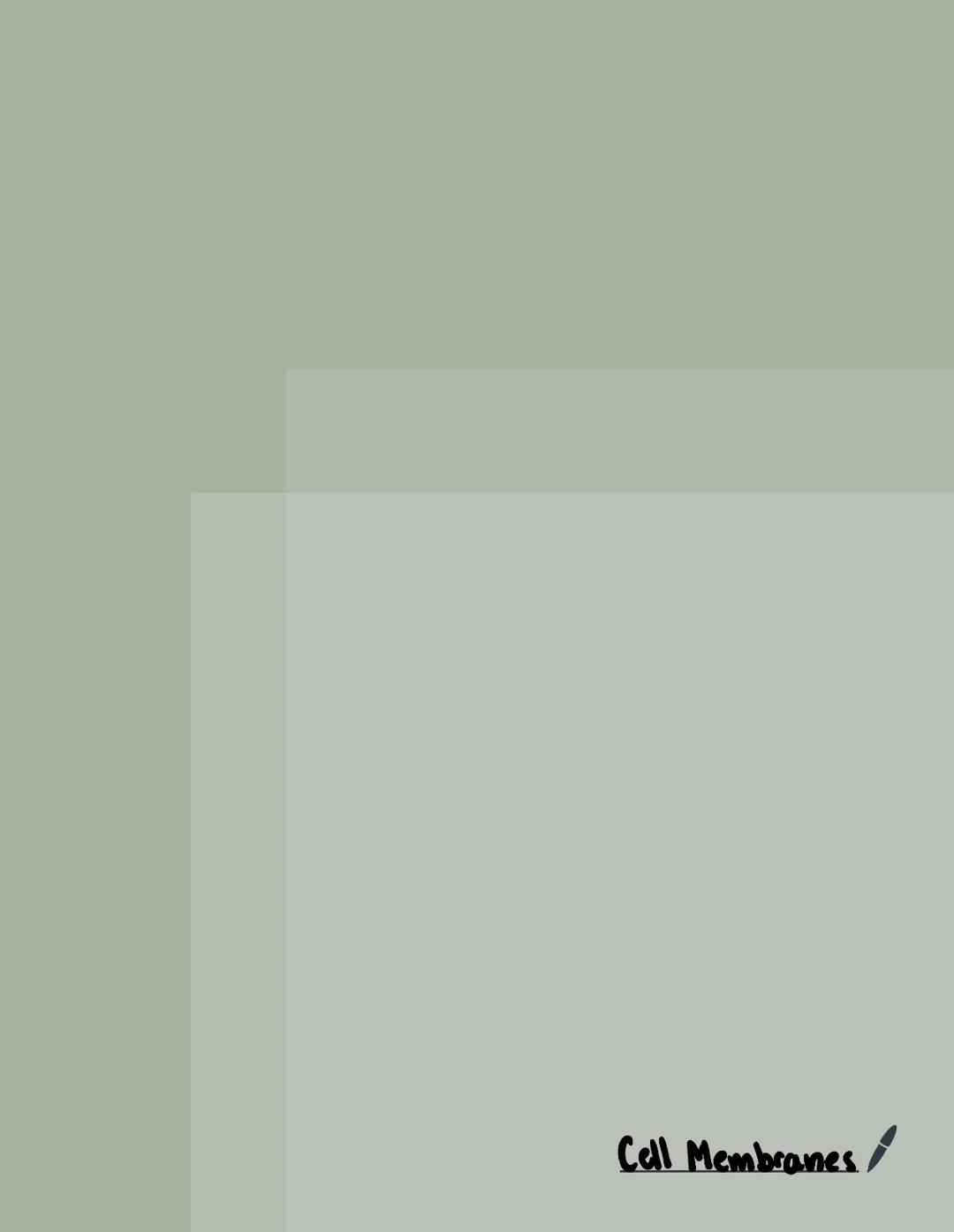 Cell Membranes / 2
Phospholipid bilayer fluid mosaic model
Function of plasma (cen) membrane:
Controls what substances enter and exit the ce