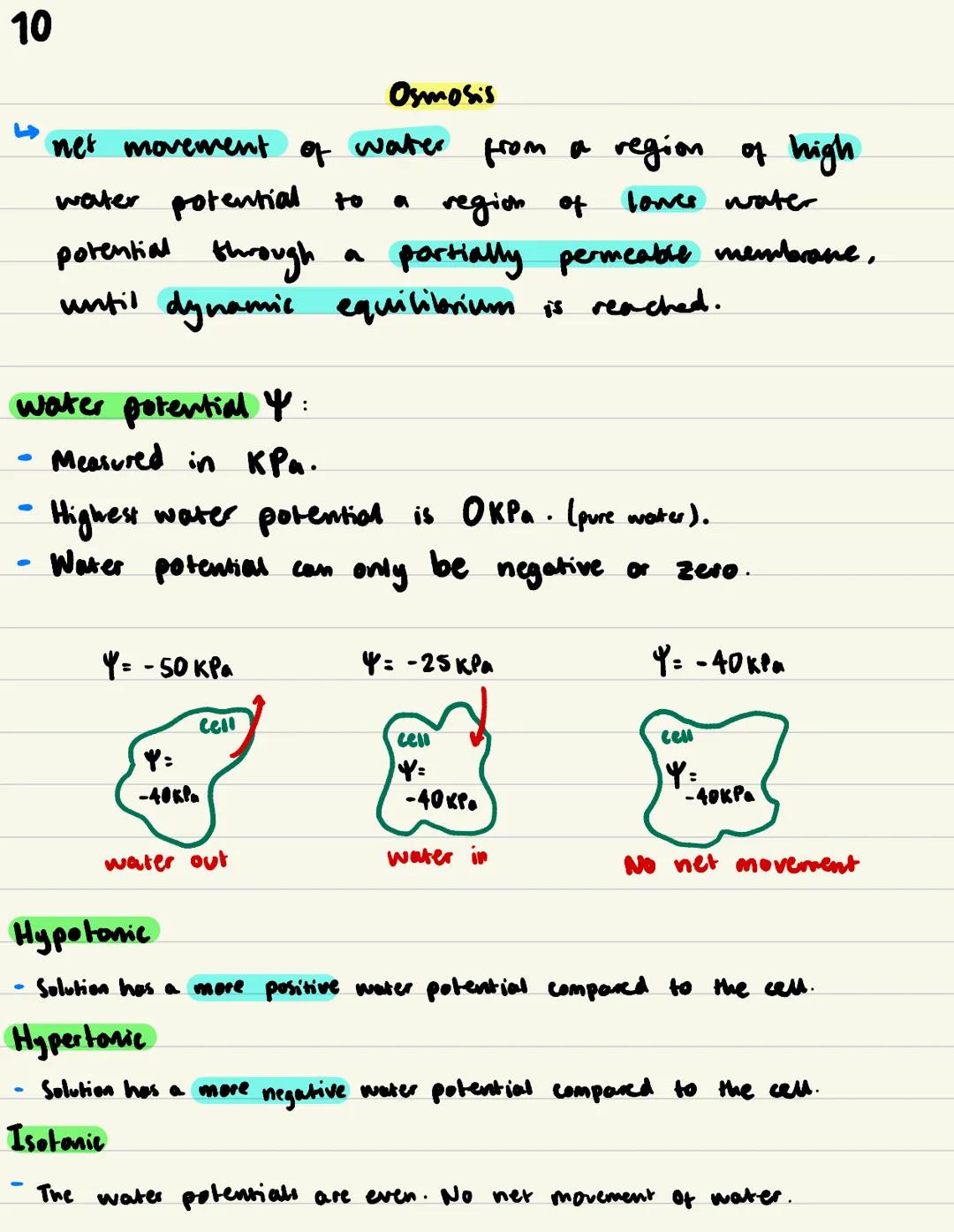 Cell Membranes / 2
Phospholipid bilayer fluid mosaic model
Function of plasma (cen) membrane:
Controls what substances enter and exit the ce
