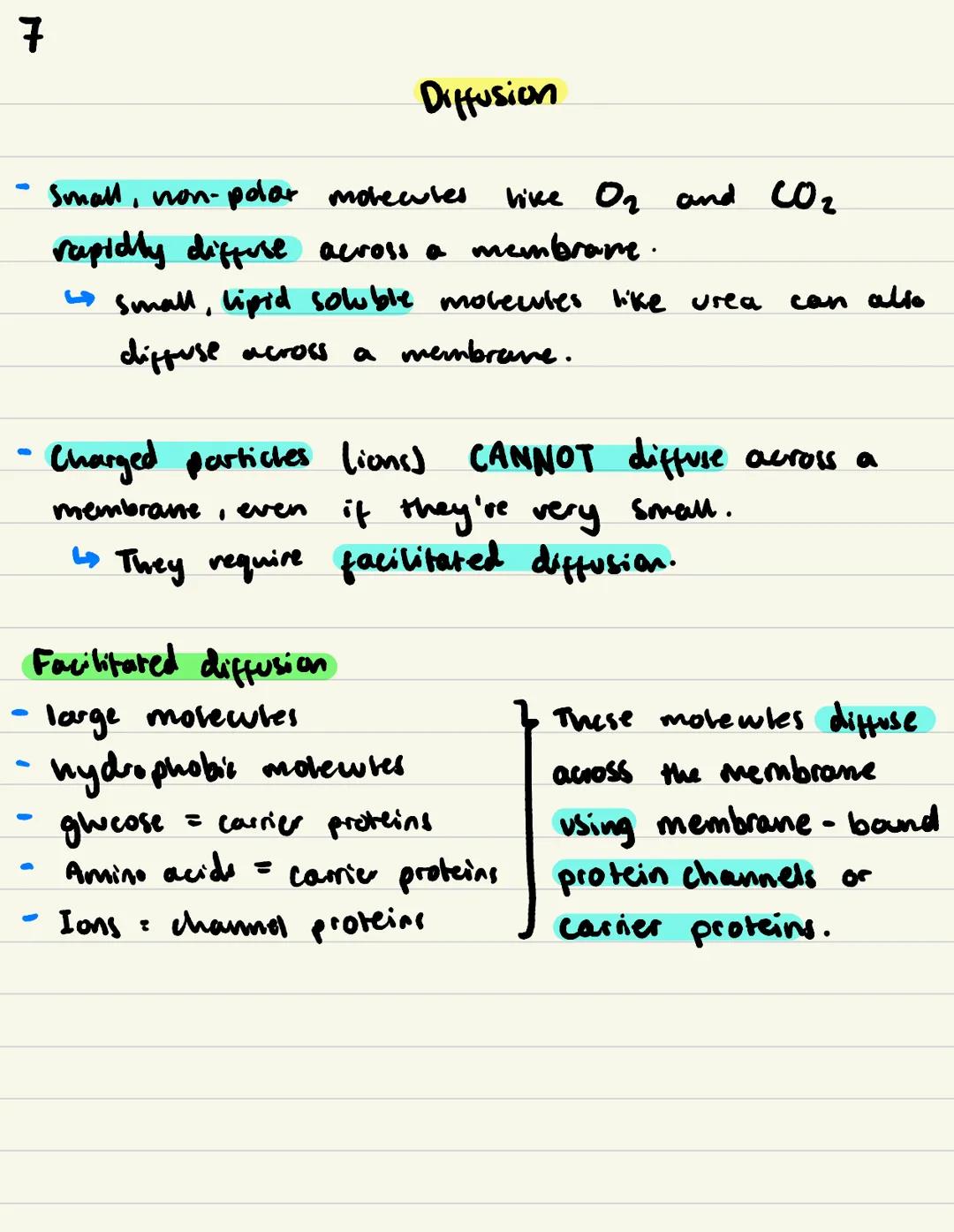 Cell Membranes / 2
Phospholipid bilayer fluid mosaic model
Function of plasma (cen) membrane:
Controls what substances enter and exit the ce