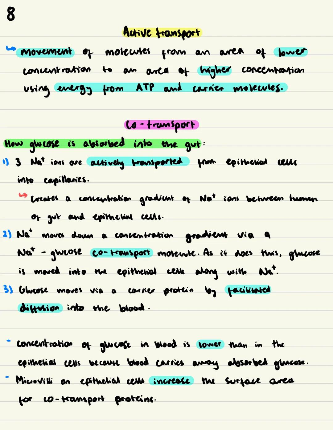 Cell Membranes / 2
Phospholipid bilayer fluid mosaic model
Function of plasma (cen) membrane:
Controls what substances enter and exit the ce