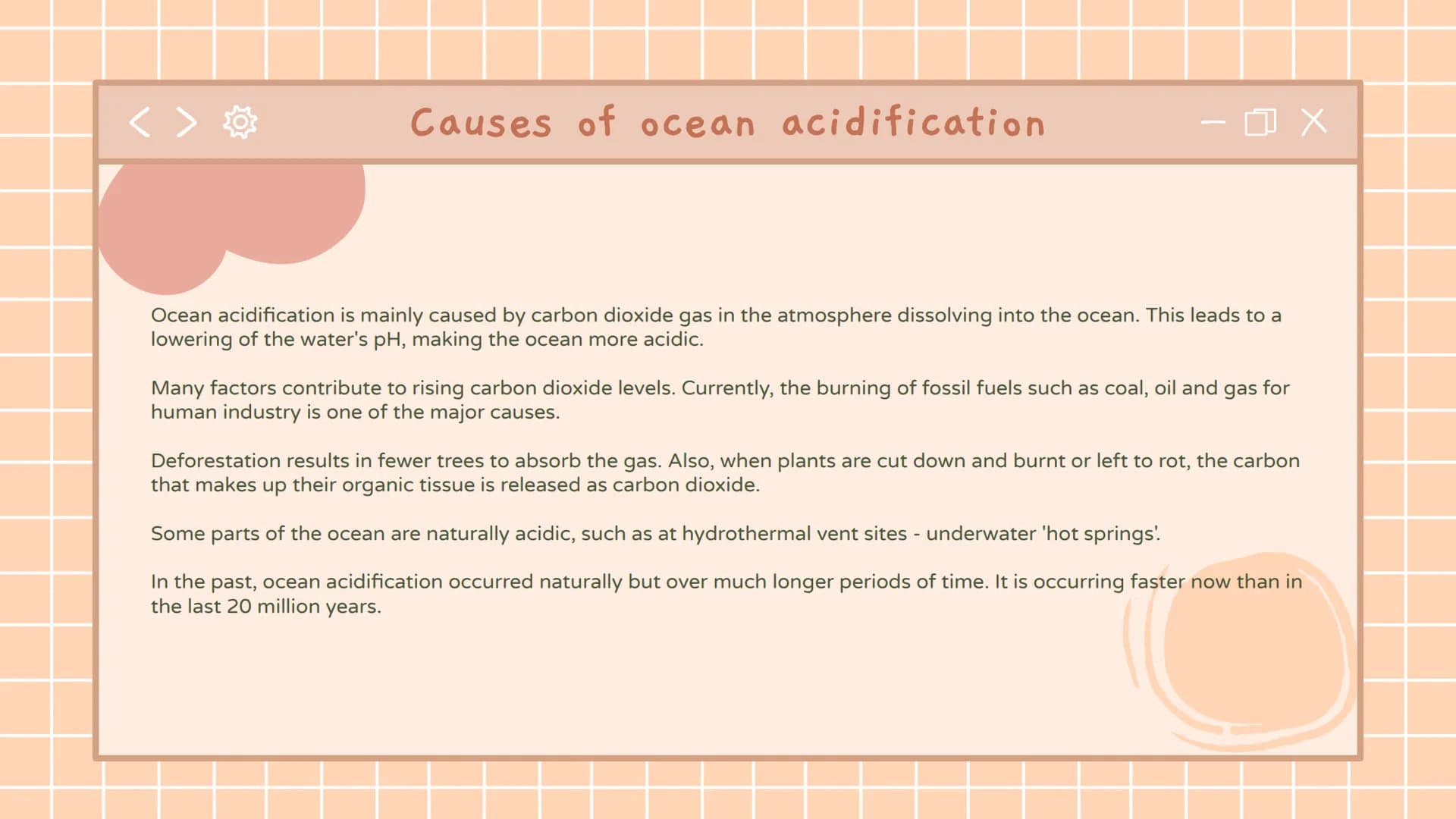 
<h2 id="whatcausesoceanacidification">What Causes Ocean Acidification</h2>
<p>Ocean acidification is primarily caused by the dissolving of 