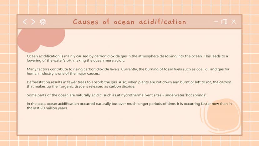 
<h2 id="whatcausesoceanacidification">What Causes Ocean Acidification</h2>
<p>Ocean acidification is primarily caused by the dissolving of 