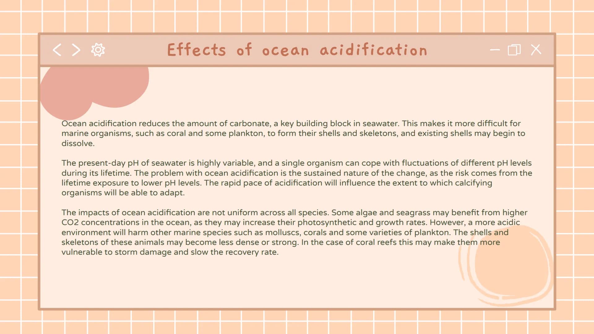 
<h2 id="whatcausesoceanacidification">What Causes Ocean Acidification</h2>
<p>Ocean acidification is primarily caused by the dissolving of 