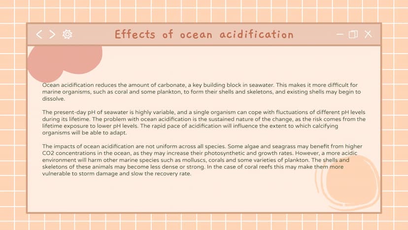 
<h2 id="whatcausesoceanacidification">What Causes Ocean Acidification</h2>
<p>Ocean acidification is primarily caused by the dissolving of 