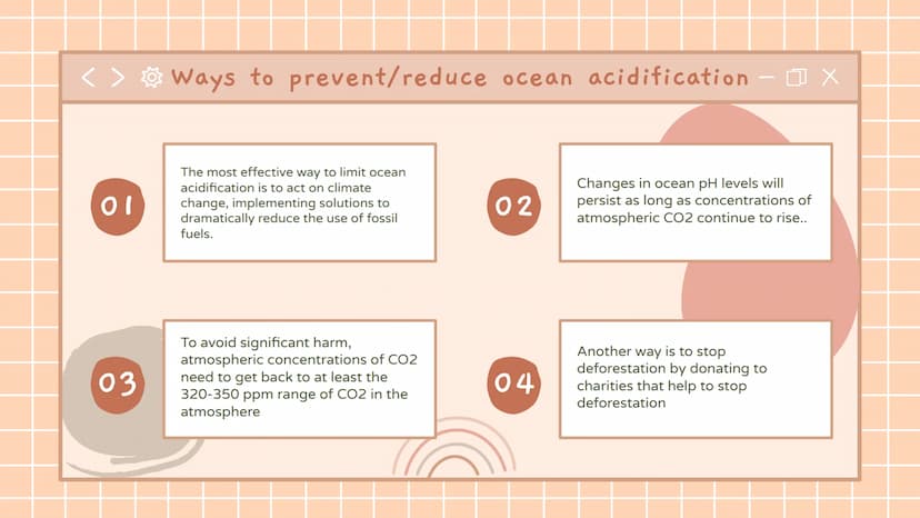 
<h2 id="whatcausesoceanacidification">What Causes Ocean Acidification</h2>
<p>Ocean acidification is primarily caused by the dissolving of 