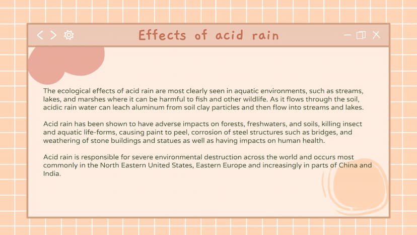 
<h2 id="whatcausesoceanacidification">What Causes Ocean Acidification</h2>
<p>Ocean acidification is primarily caused by the dissolving of 