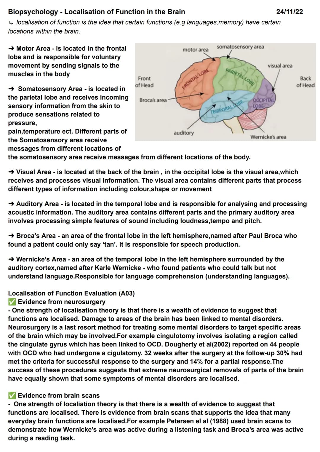Biopsychology - Localisation of Function in the Brain
localisation of function is the idea that certain functions (e.g languages, memory) ha