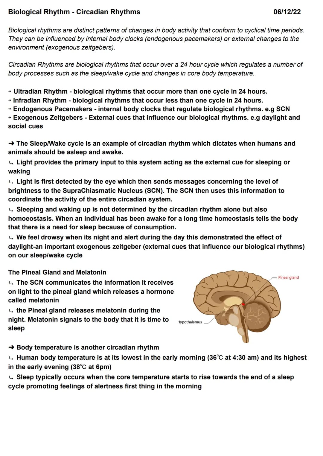 Biopsychology - Localisation of Function in the Brain
localisation of function is the idea that certain functions (e.g languages, memory) ha