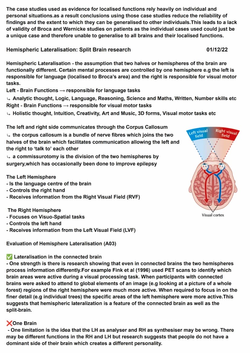 Biopsychology - Localisation of Function in the Brain
localisation of function is the idea that certain functions (e.g languages, memory) ha
