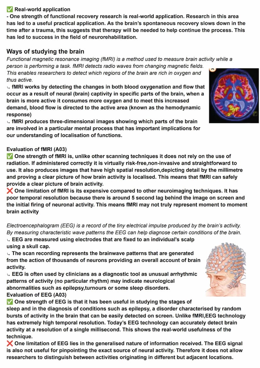 Biopsychology - Localisation of Function in the Brain
localisation of function is the idea that certain functions (e.g languages, memory) ha
