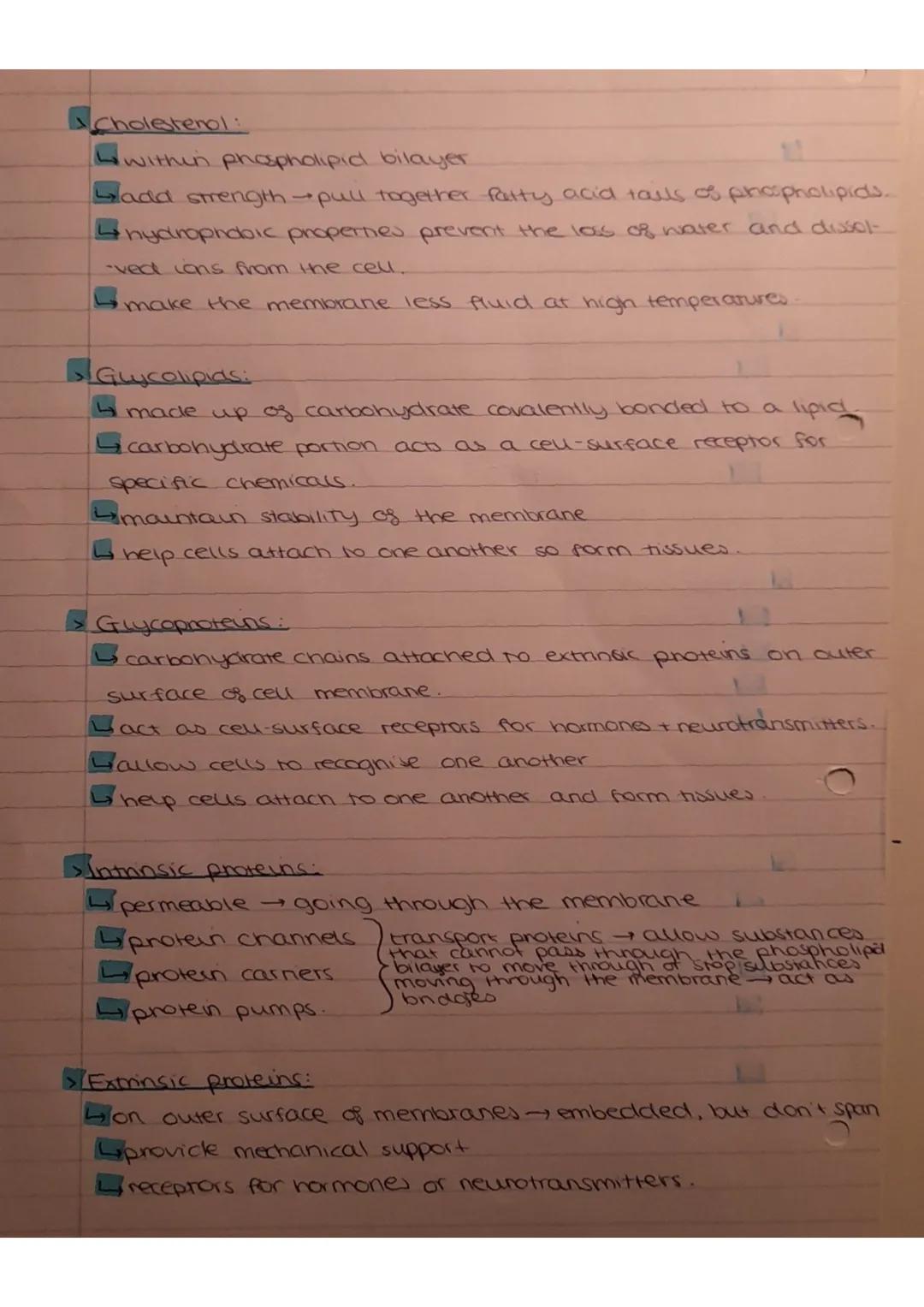 Friday 11th November 2022
Role os membranes = controlling what enters and exits the
cell
substances can move across the cell-surface membran