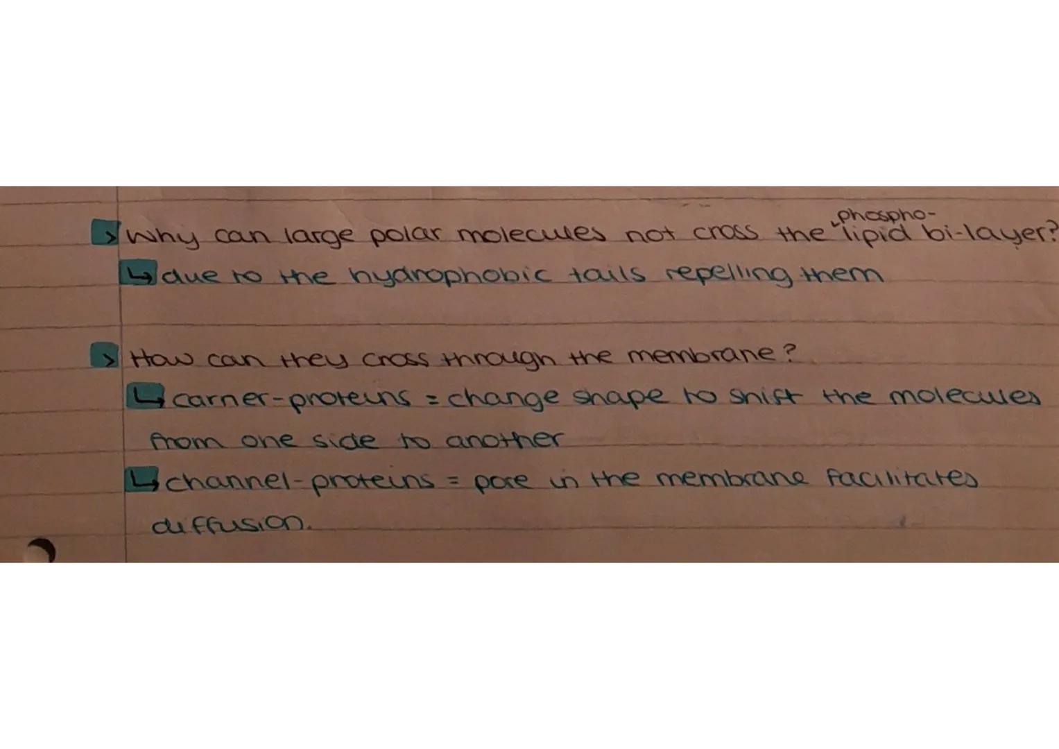 Friday 11th November 2022
Role os membranes = controlling what enters and exits the
cell
substances can move across the cell-surface membran