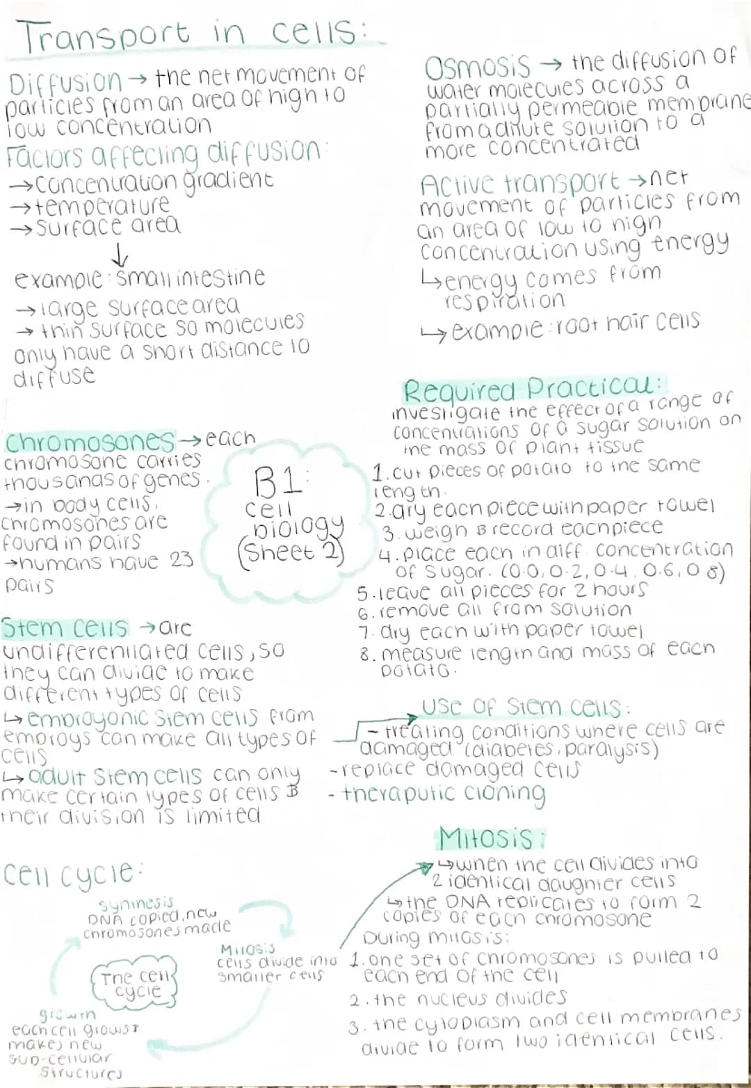 Biology Mind Maps