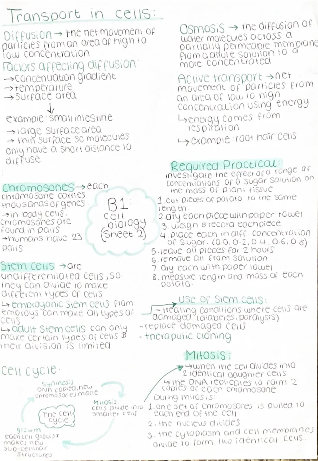 Transport in cells:
Diffusion the net movement of
particies from an area of high to
low concentration
Factors affecting diffusion:
→concentr