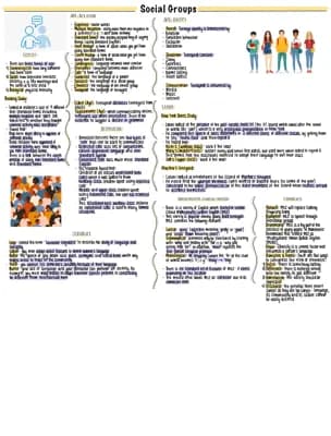 Know Social Groups Revision Poster thumbnail