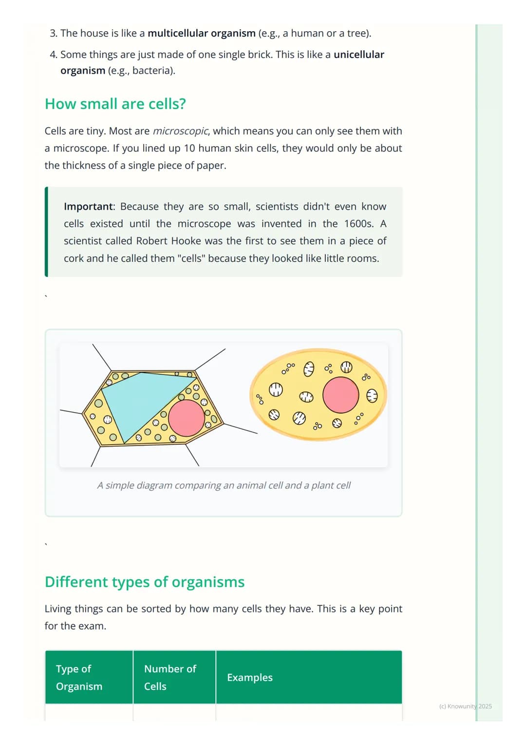 # Introduction to Cells

## What are cells?

All living things, from the biggest blue whale to the smallest insect, are made
of cells. They 